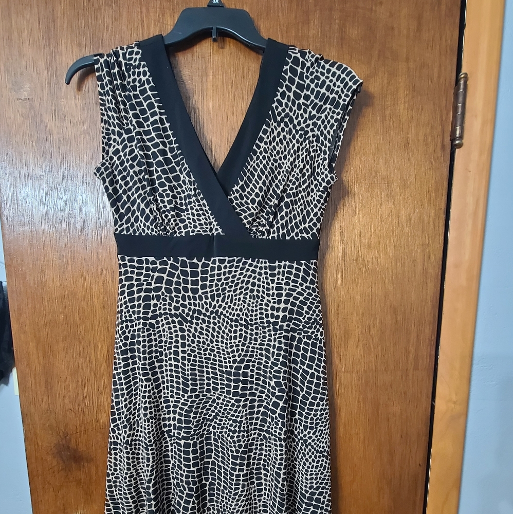 vanheusen dress